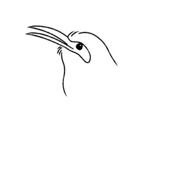 Magpie simple drawing tutorial