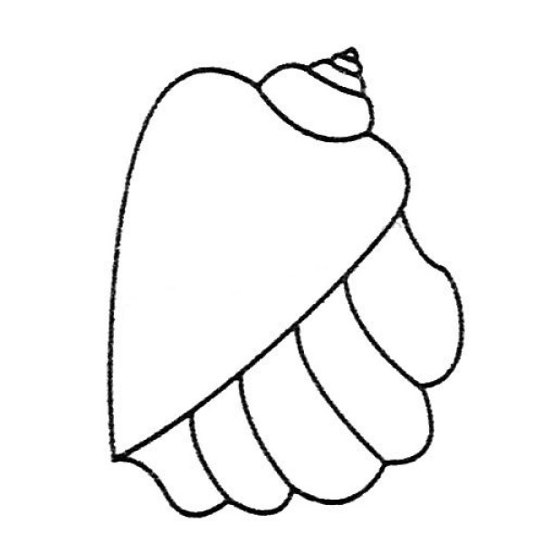 A complete collection of shellfish simple drawing pictures and drawing steps