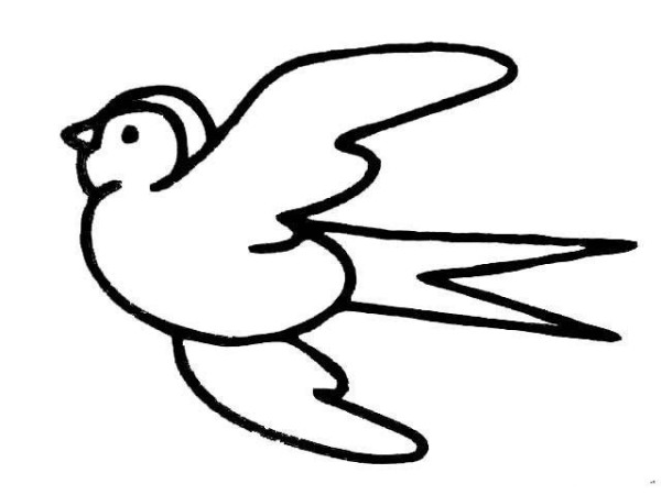 Learning simple bird drawing pictures