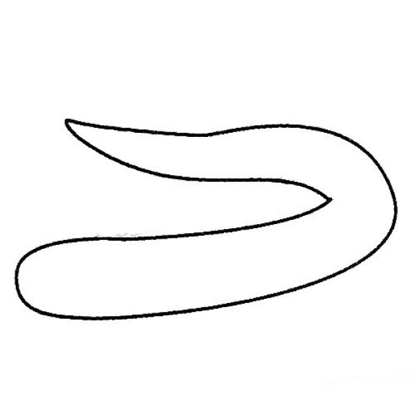 Complete collection of electric eel simple strokes and drawing steps