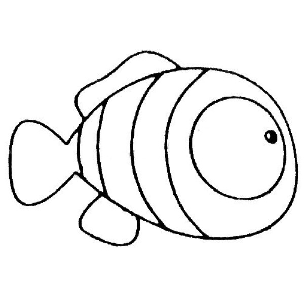 A complete collection of simple drawing pictures of clownfish and the steps of drawing