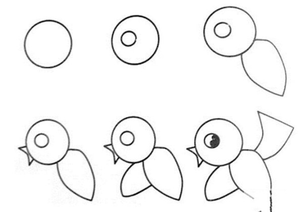 Cute bird simple drawing picture tutorial