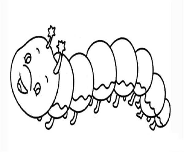 Caterpillar simple drawings: Caterpillar adventures simple drawings