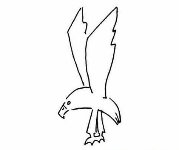 A set of simple drawing pictures about eagles