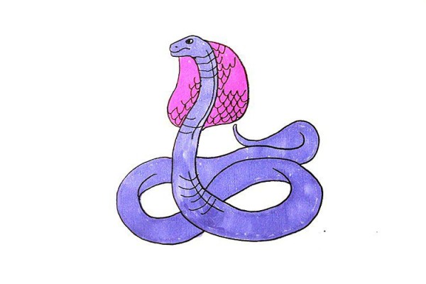 How to draw a scary cobra in 7 steps