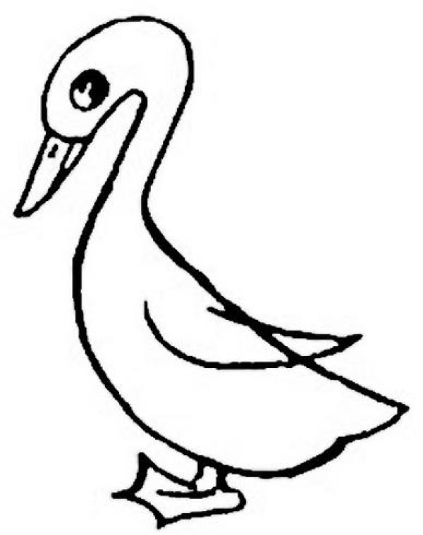 Nice simple drawing pictures of little ducks