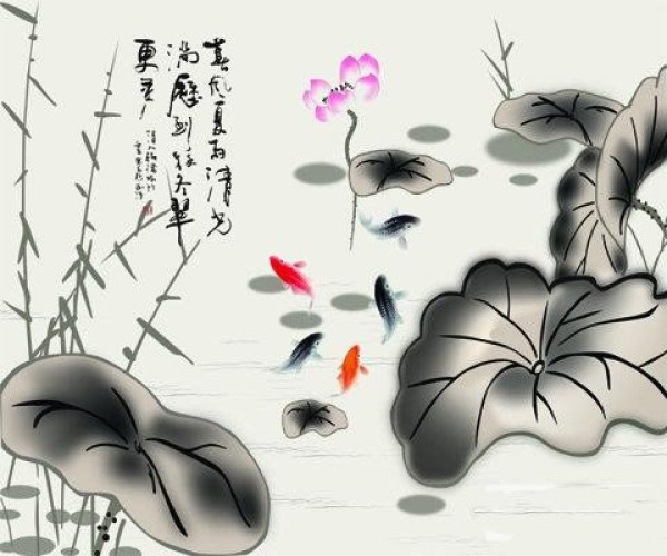 goldfish in lotus pond