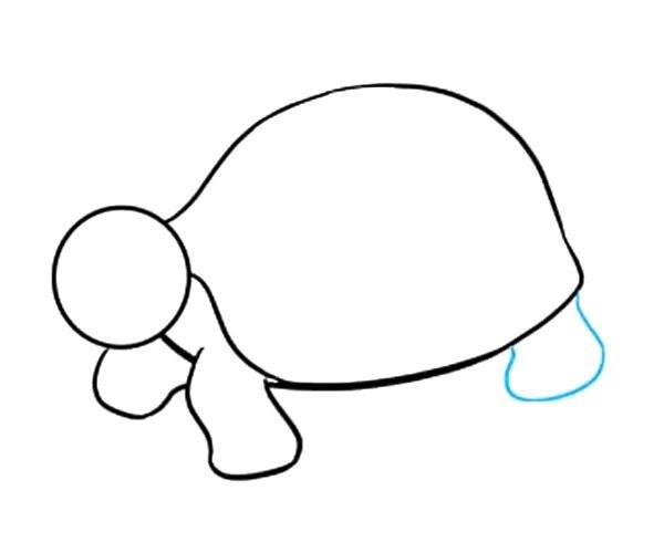 Simple steps to draw a turtle