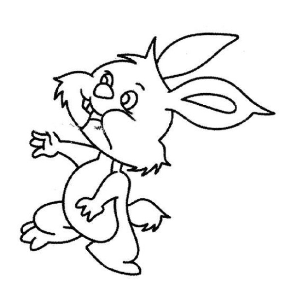 running rabbit