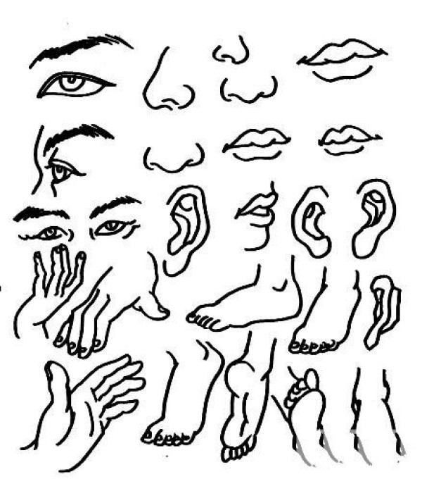 Simple drawing of human facial features, hands and feet