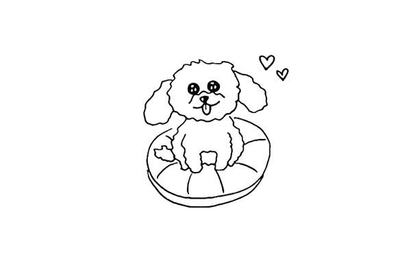 How to draw a teddy dog