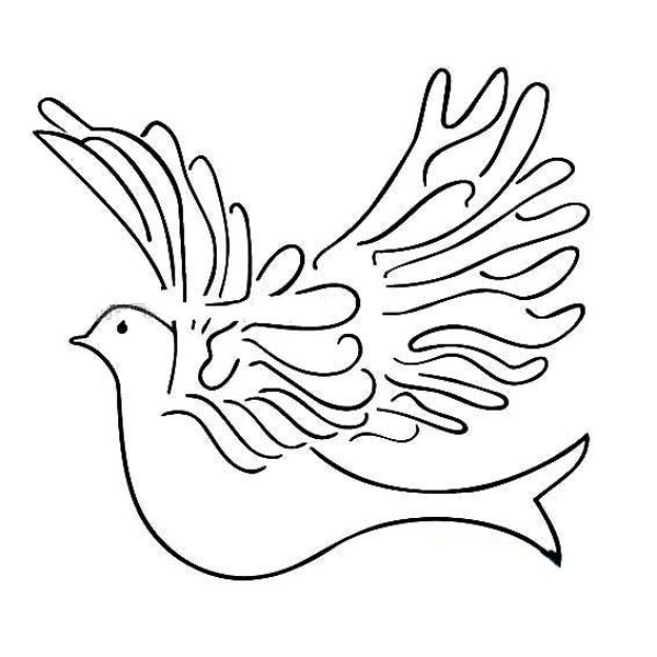 Beautiful pigeon simple drawing picture