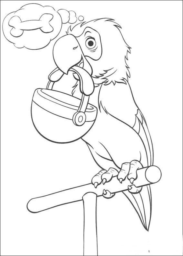 Complete collection of simple bird drawings and simple drawings of parrots