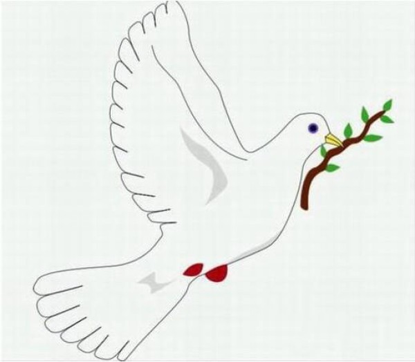 How to draw a dove of peace How to draw a simple picture of a dove