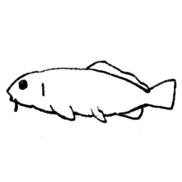 Koi simple strokes drawing tutorial