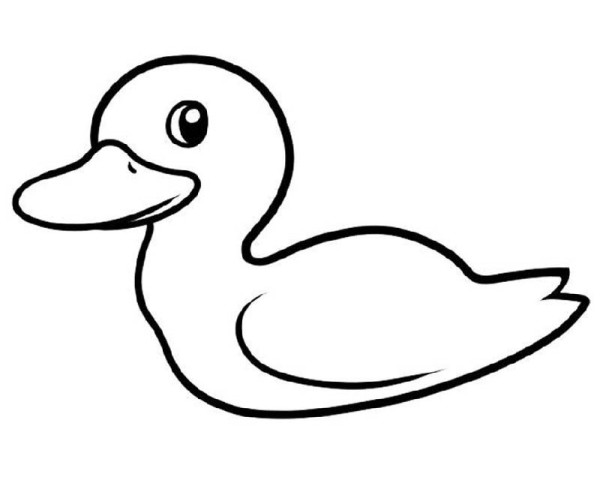 How to draw a little duck in kindergarten