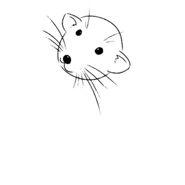 Simple drawing tutorial of a mouse that loves to steal food