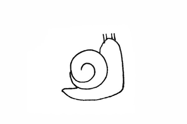 How to draw a snail