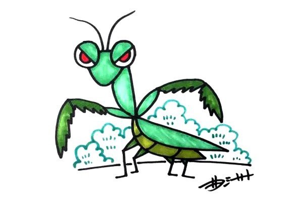 How to draw a cartoon mantis