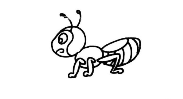 Cartoon Ant Simple Drawing Picture