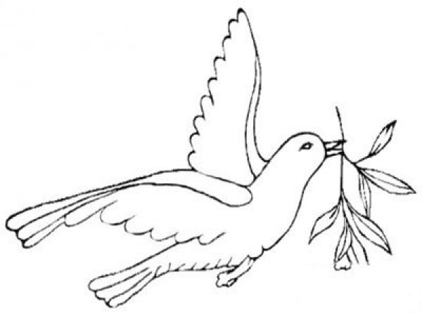 Simple picture of olive branch and dove of peace