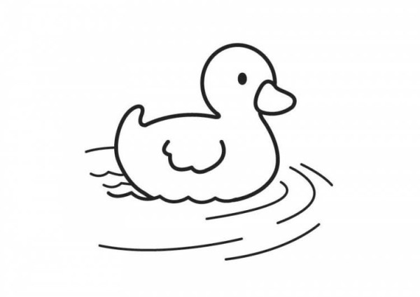 Cute little duck simple drawing