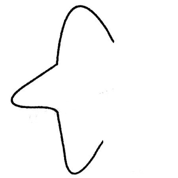 Complete collection of starfish simple strokes and drawing steps