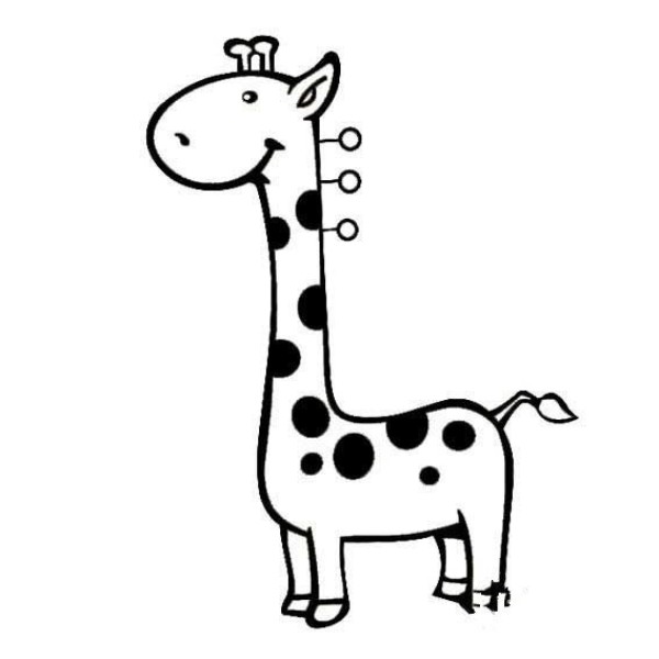 A complete collection of simple animal drawings. How to draw a giraffe in simple strokes.