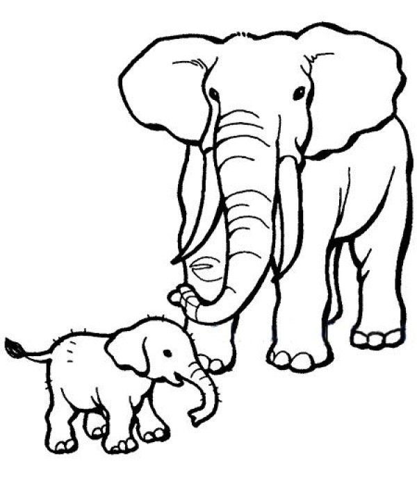 Simple drawing of mother elephant and baby elephant