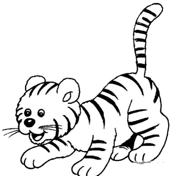 A complete collection of simple animal drawings of tigers A complete collection of simple drawings of animals for children