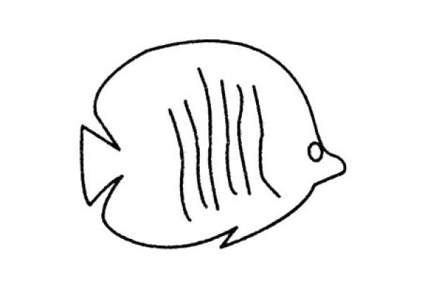 Complete collection of simple strokes of tropical fish and drawing steps