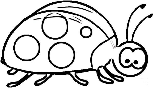 Simple cartoon ladybug drawing