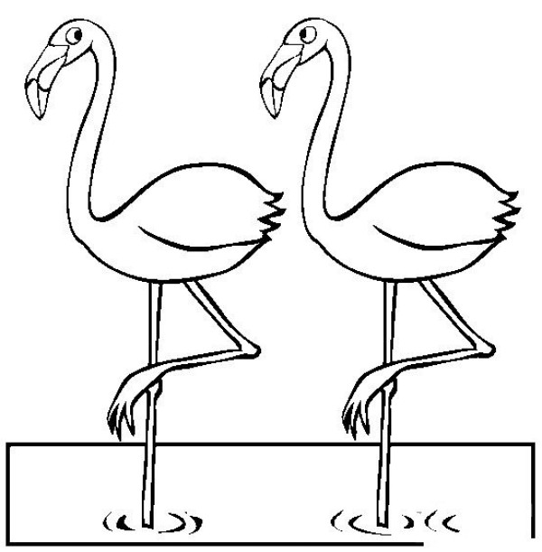 Complete collection of simple animal drawings, simple drawing pictures of two flamingos