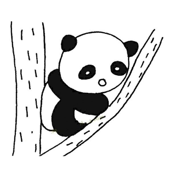 Giant panda climbs tree