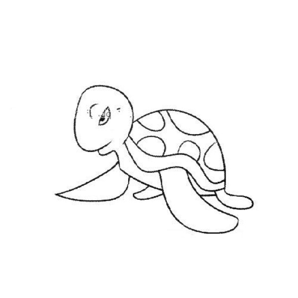 Two simple drawing pictures of turtles