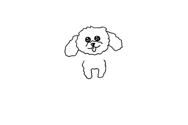 How to draw a teddy dog