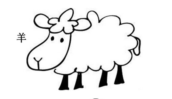 Cartoon sheep simple drawing picture