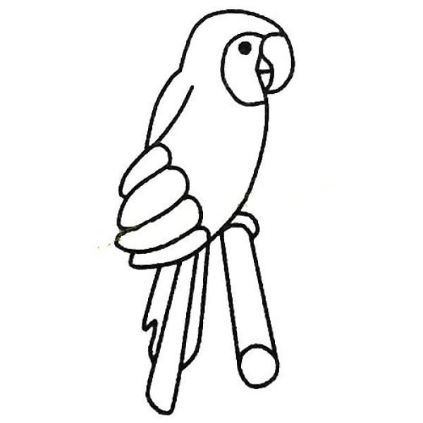 Simple drawing of cute things, simple drawing tutorial of parrot