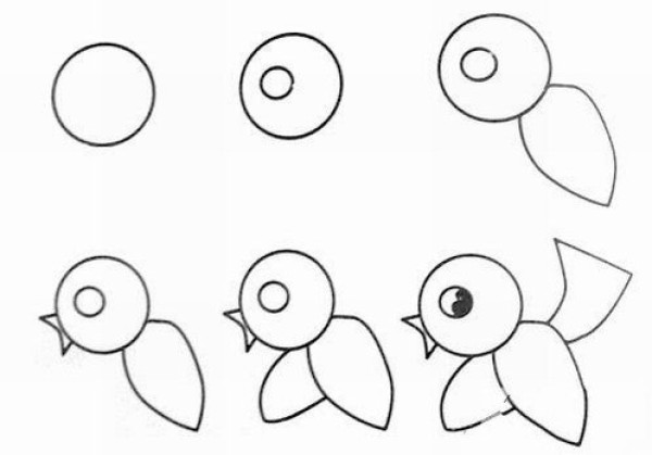 Cartoon bird simple drawing pictures hand drawn illustration steps