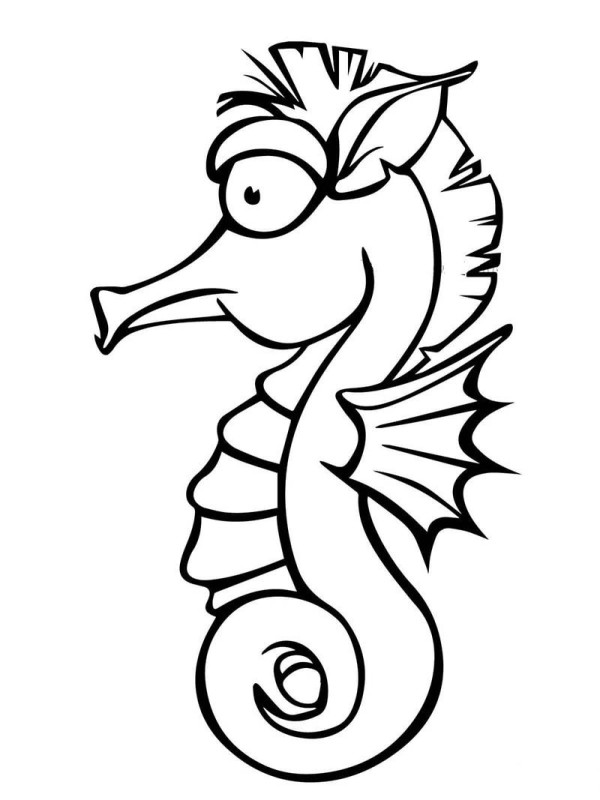 Simple drawing method of cute little seahorse