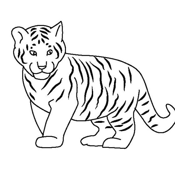 Animal simple drawings Tiger baby simple drawing pictures