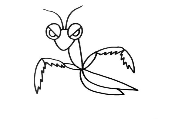 How to draw a cartoon mantis