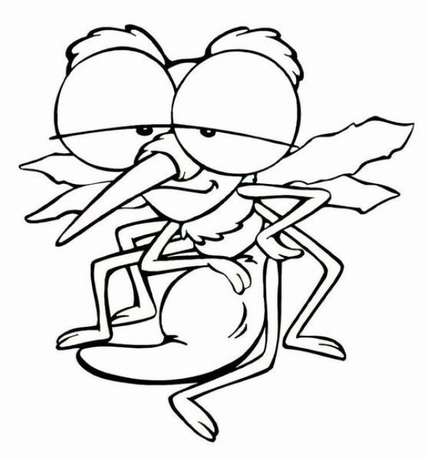 Line drawing cartoon simple drawing mosquito