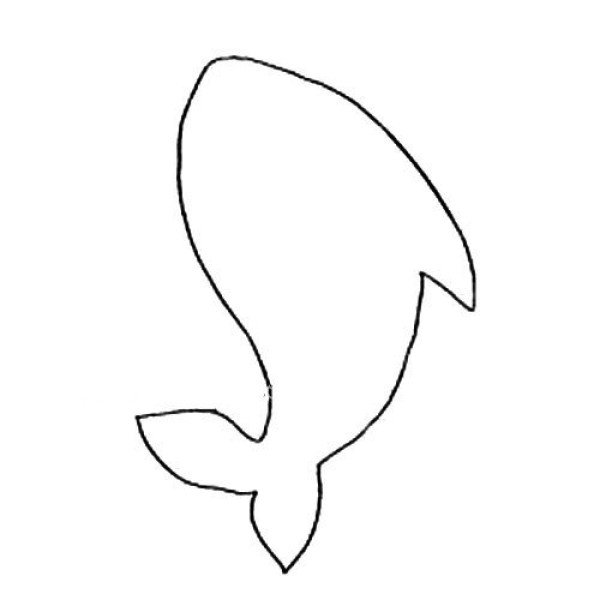 animal drawing shark