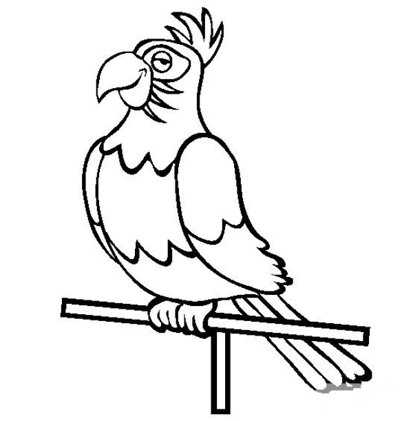 Simple drawing of bird, simple drawing of parrot