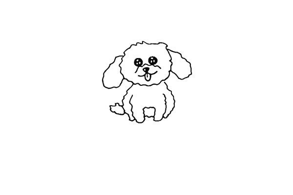 How to draw a teddy dog