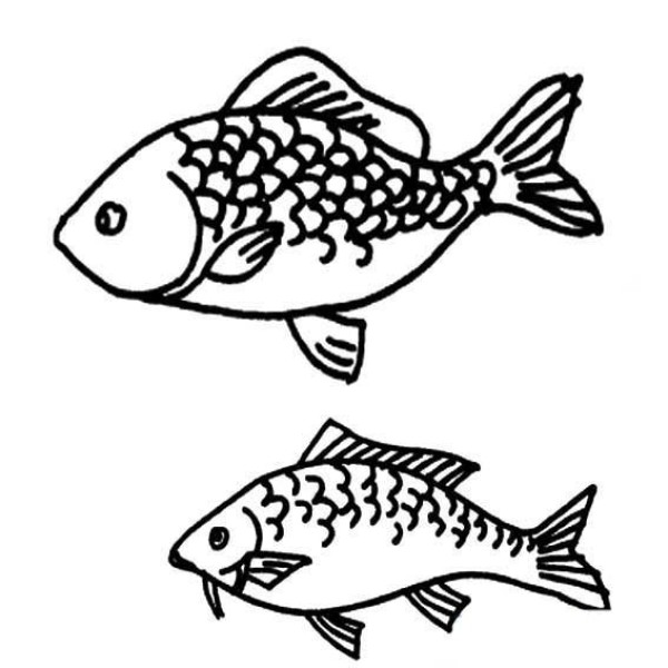 Fish simple strokes