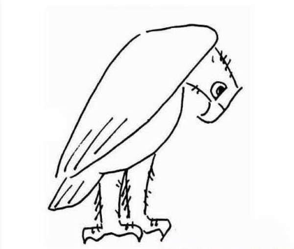 A set of simple drawing pictures about eagles