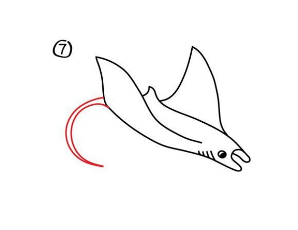 How to draw a manta ray. Steps to draw a manta ray in simple strokes.