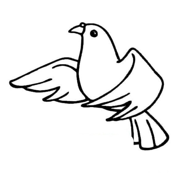 White pigeon simple strokes picture